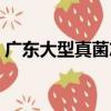 廣東大型真菌志（關于廣東大型真菌志介紹）