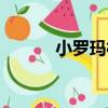 小羅瑪村（關于小羅瑪村簡介）