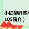 小紅柳群體XHL-105（關于小紅柳群體XHL-105簡介）