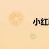 小紅腸（關于小紅腸簡介）