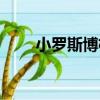 小羅斯博格（關于小羅斯博格簡介）