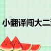 小翻譯闖大二灘（關于小翻譯闖大二灘簡介）