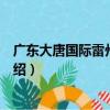 廣東大唐國際雷州發電廠（關于廣東大唐國際雷州發電廠介紹）