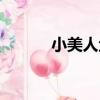 小美人魚（關于小美人魚簡介）