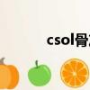 csol骨灰盒技巧（csol骨灰盒）