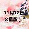 11月18日是什么星座天蝎座（11月18日是什么星座）