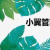 小翼管家（關于小翼管家簡介）