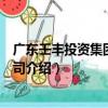 廣東壬豐投資集團有限公司（關于廣東壬豐投資集團有限公司介紹）