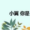 小翼 你是？（關于小翼 你是？簡介）