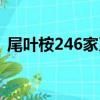 尾葉桉246家系（關于尾葉桉246家系簡介）