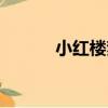 小紅樓夢（關于小紅樓夢簡介）