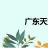 廣東天盟（關于廣東天盟介紹）