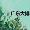 廣東大排檔（關于廣東大排檔介紹）