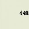 小維度（關于小維度簡介）