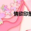 情欲印象（關于情欲印象的簡介）
