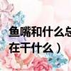 魚嘴和什么總是一張一合的（魚嘴一張一合是在干什么）