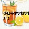 小紅書小學數學基礎知識（關于小紅書小學數學基礎知識簡介）