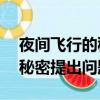 夜間飛行的秘密提出問題10個（夜間飛行的秘密提出問題）