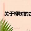 關于柳樹的古詩100首（關于柳樹的古詩）