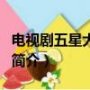 電視劇五星大飯店（關于電視劇五星大飯店的簡介）