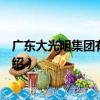 廣東大光明集團有限公司（關于廣東大光明集團有限公司介紹）