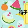 箱子恐怖片（嚇人的箱子）