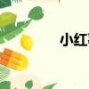 小紅薯（關于小紅薯簡介）