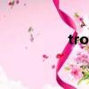 trot（關于trot的簡介）