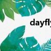 dayfly（關于dayfly的簡介）