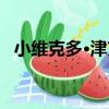 小維克多·津克（關于小維克多·津克簡介）