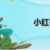 小紅袍（關于小紅袍簡介）