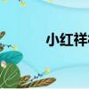 小紅祥村（關于小紅祥村簡介）