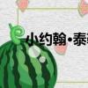 小約翰·泰勒（關于小約翰·泰勒簡介）
