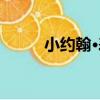小約翰·表（關于小約翰·表簡介）