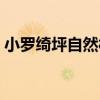 小羅綺坪自然村（關于小羅綺坪自然村簡介）