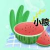 小糧臺（關于小糧臺簡介）