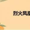 烈火鳳凰（關于烈火鳳凰的簡介）