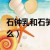 石鐘乳和石筍像什么樣子（石鐘乳和石筍像什么）