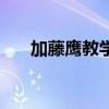 加藤鷹教學（關于加藤鷹教學的簡介）
