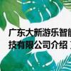 廣東大新游樂智能科技有限公司（關于廣東大新游樂智能科技有限公司介紹）