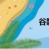 谷歌g2芯片（谷歌g2）