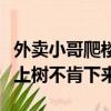 外賣小哥爬樓梯應不應該（外賣小哥怕處罰爬上樹不肯下來）