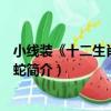 小線裝《十二生肖》之巳蛇（關于小線裝《十二生肖》之巳蛇簡介）