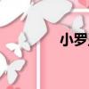 小羅王（關于小羅王簡介）