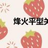 烽火平型關（關于烽火平型關的簡介）