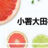 小署大田村（關于小署大田村簡介）