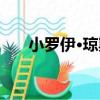 小羅伊·瓊斯（關于小羅伊·瓊斯簡介）