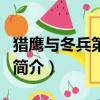獵鷹與冬兵第五集（關于獵鷹與冬兵第五集的簡介）