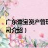 廣東壹寶資產管理有限公司（關于廣東壹寶資產管理有限公司介紹）