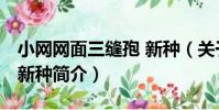小網網面三縫孢 新種(關于小網網面三縫孢 新種簡介)